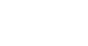 Logo AEFE